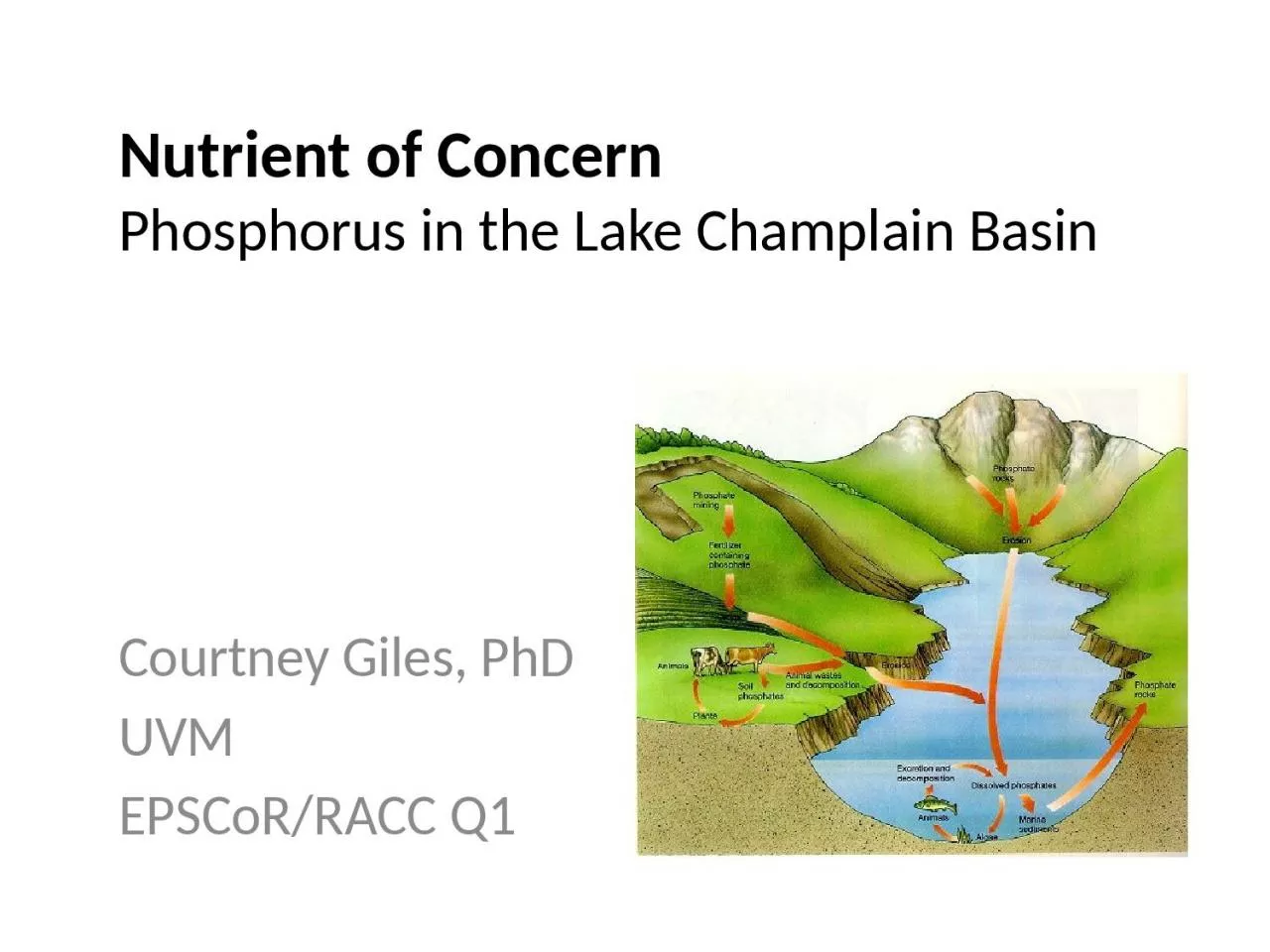 PPT-Nutrient of Concern Phosphorus in the Lake Champlain Basin