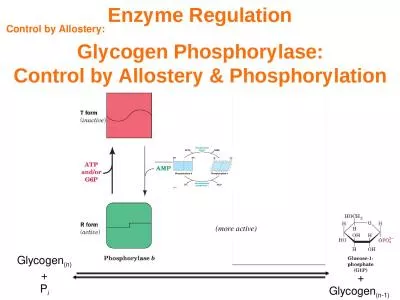 Enzyme Regulation Control by