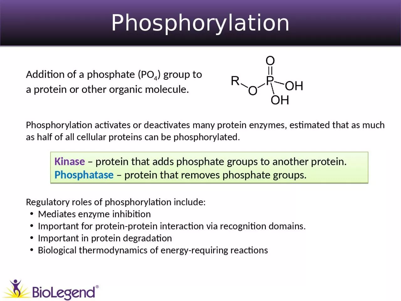 PPT-Phosphorylation ® Addition of a phosphate (PO