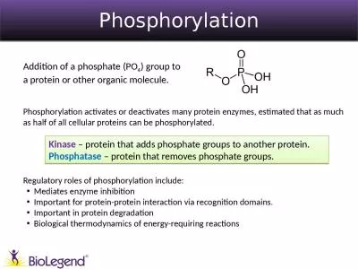 Phosphorylation ® Addition of a phosphate (PO