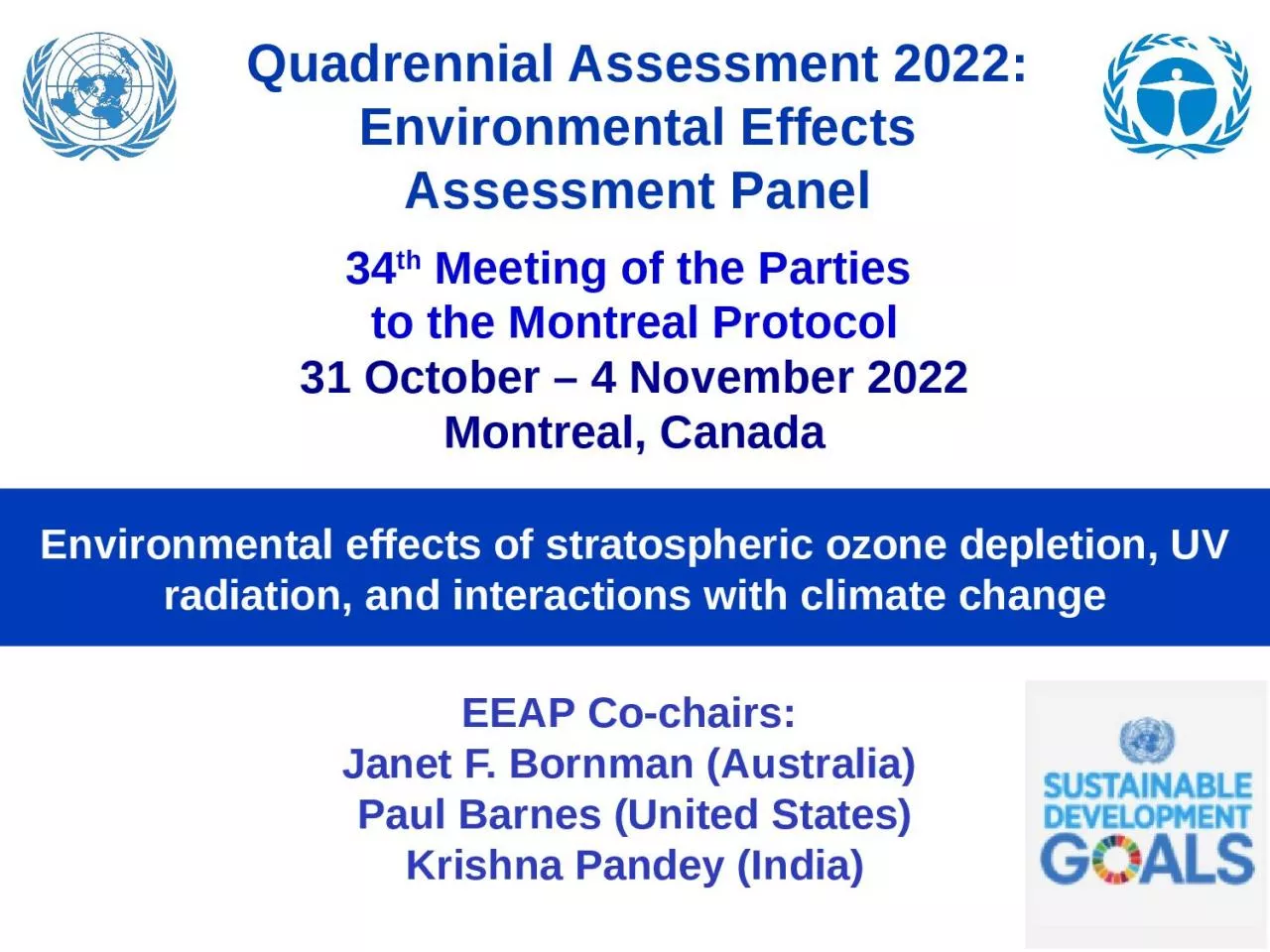 PPT-EEAP Co-chairs: Janet F. Bornman (Australia)