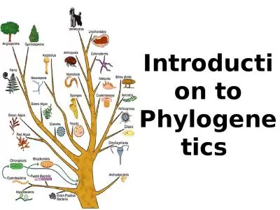 Introduction to Phylogenetics