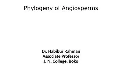 Phylogeny of Angiosperms