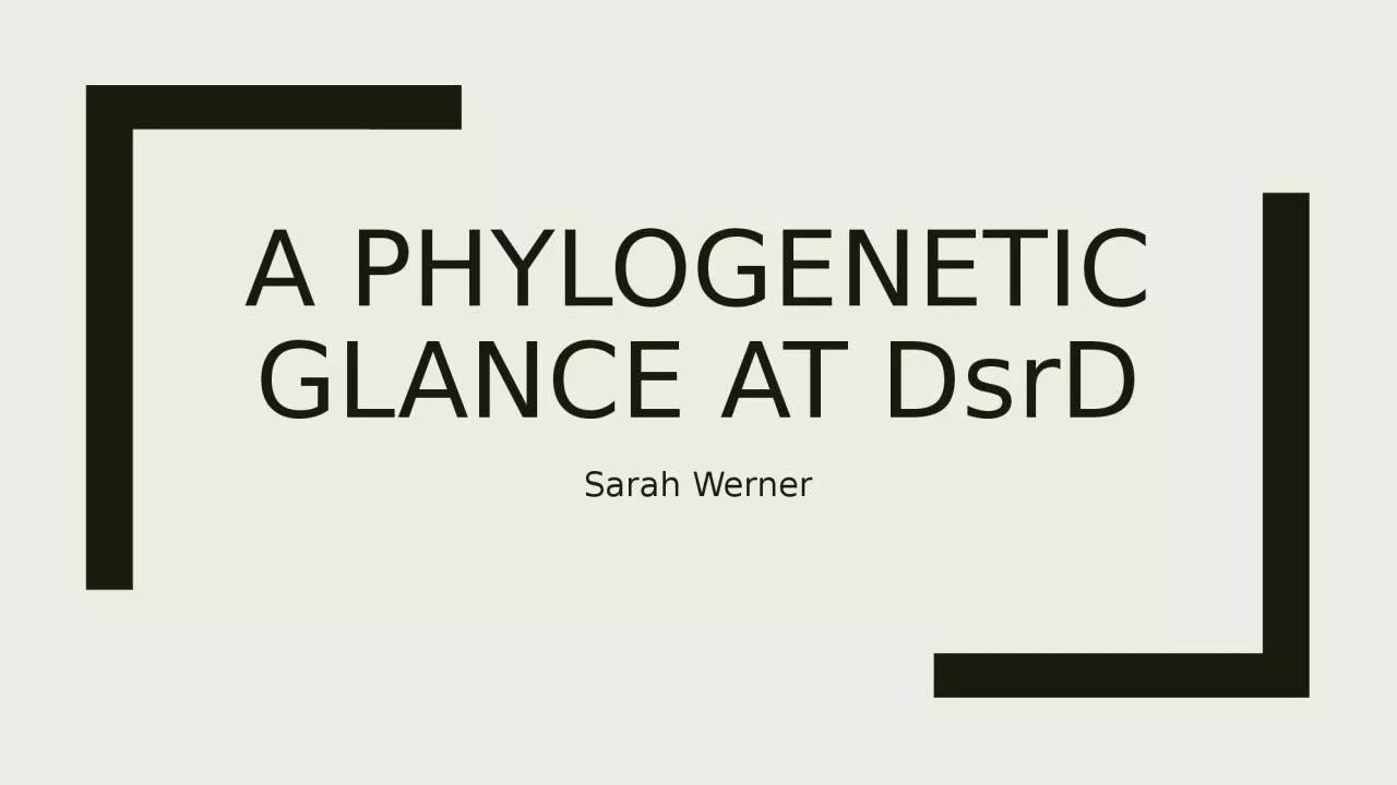 PPT-A phylogenetic Glance at