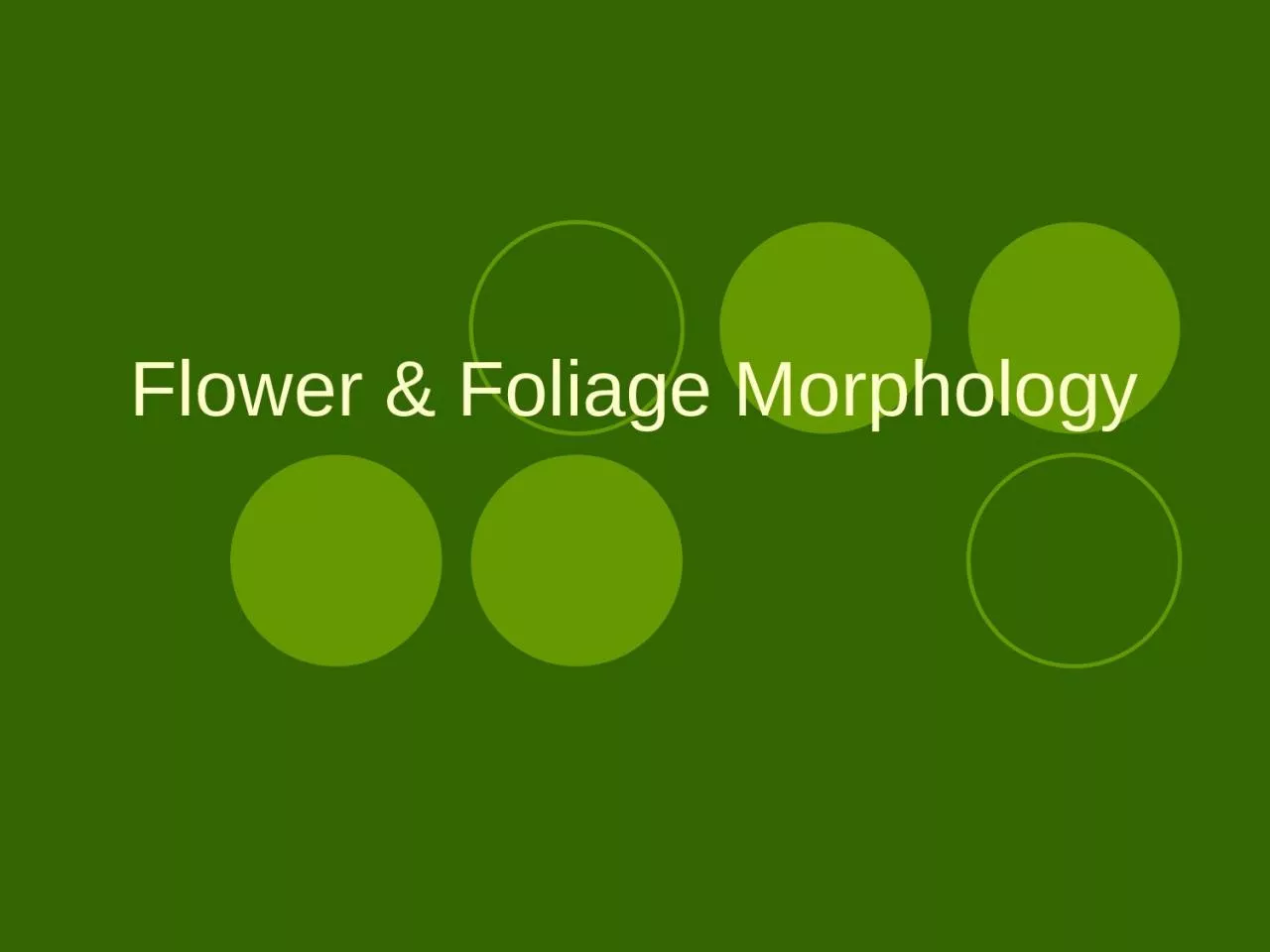 PPT-Flower & Foliage Morphology