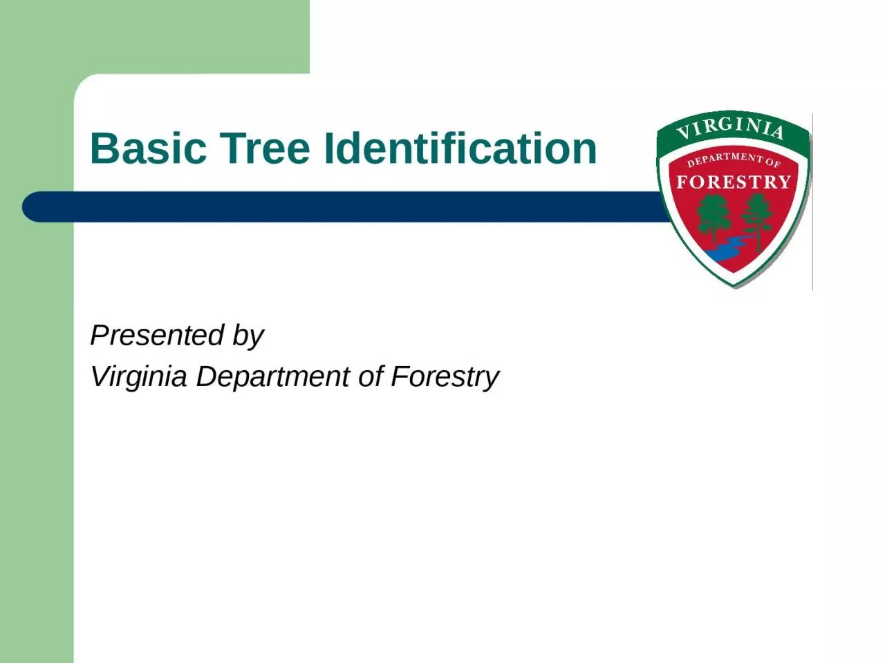 PPT-Basic Tree Identification