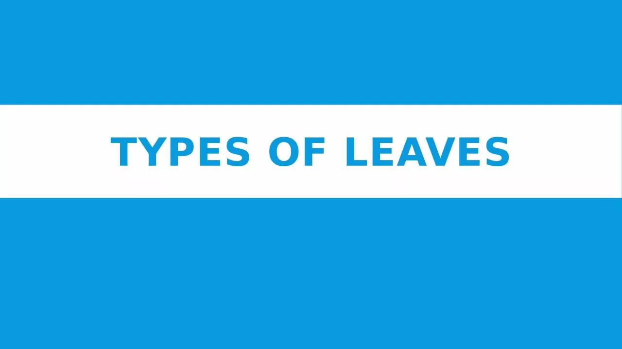 PPT-Types of leaves Types of leaves