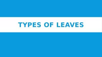 Types of leaves Types of leaves