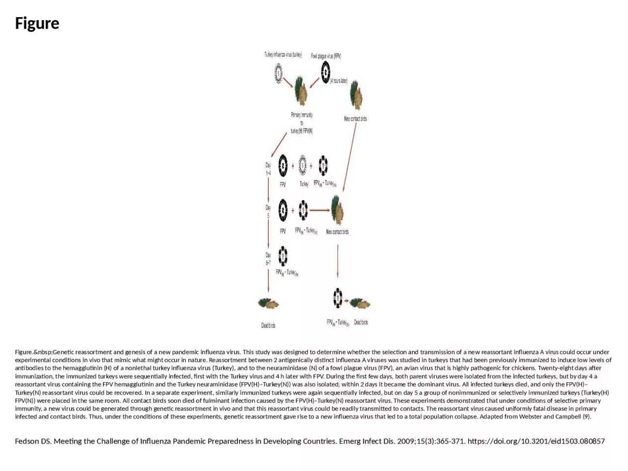 PPT-Figure Figure.&nbsp;Genetic reassortment and genesis of a new pandemic influenza virus.