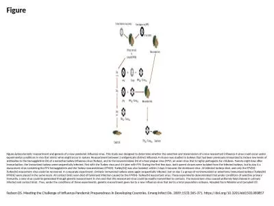 Figure Figure.&nbsp;Genetic reassortment and genesis of a new pandemic influenza virus.