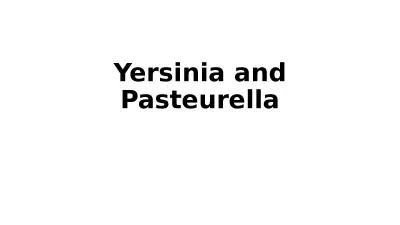 Yersinia  and  Pasteurella