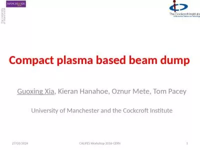 Compact plasma based beam dump
