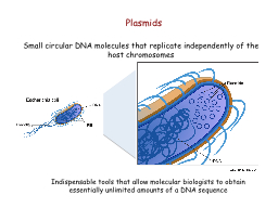 Plasmids Indispensable tools that allow molecular biologists to obtain essentially unlimited
