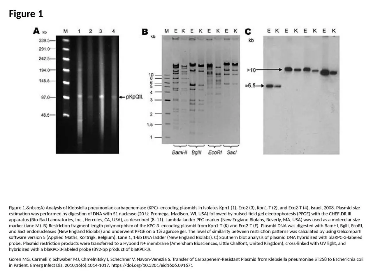 PPT-Figure 1 Figure 1.&nbsp;A) Analysis of Klebsiella pneumoniae carbapenemase (KPC)–encoding