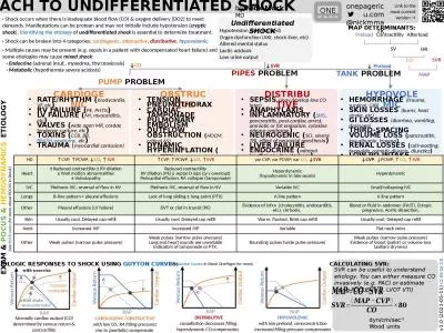by  Nick Mark   MD approach to undifferentiated shock
