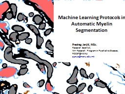 Machine Learning Protocols in Automatic Myelin Segmentation