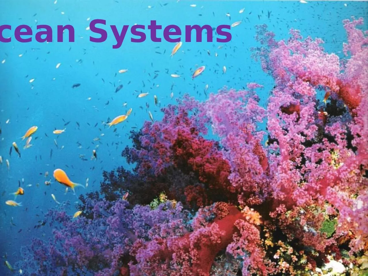 Ocean Systems We Depend on the Ocean for Food