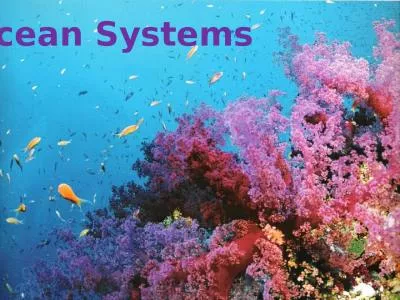 Ocean Systems We Depend on the Ocean for Food