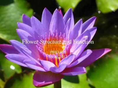 Flower Structure and Function