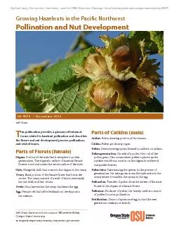 Growing Hazelnuts in the Pacic Northwest