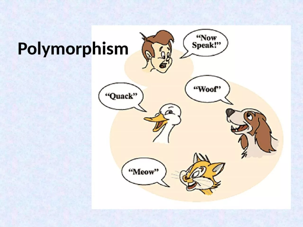 PPT-Polymorphism Definition of Polymorphism