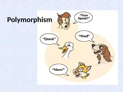 Polymorphism Definition of Polymorphism