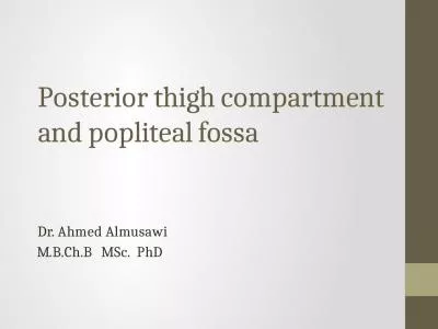 Posterior thigh compartment