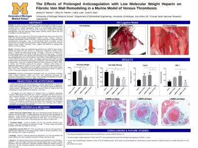 The Effects of Prolonged Anticoagulation with Low Molecular Weight Heparin on Fibrotic