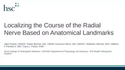 Localizing the Course of the Radial Nerve Based on Anatomical Landmarks