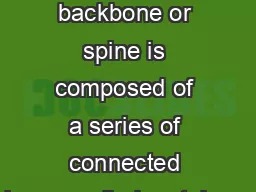       The backbone or spine is composed of a series of connected bones called vertebrae