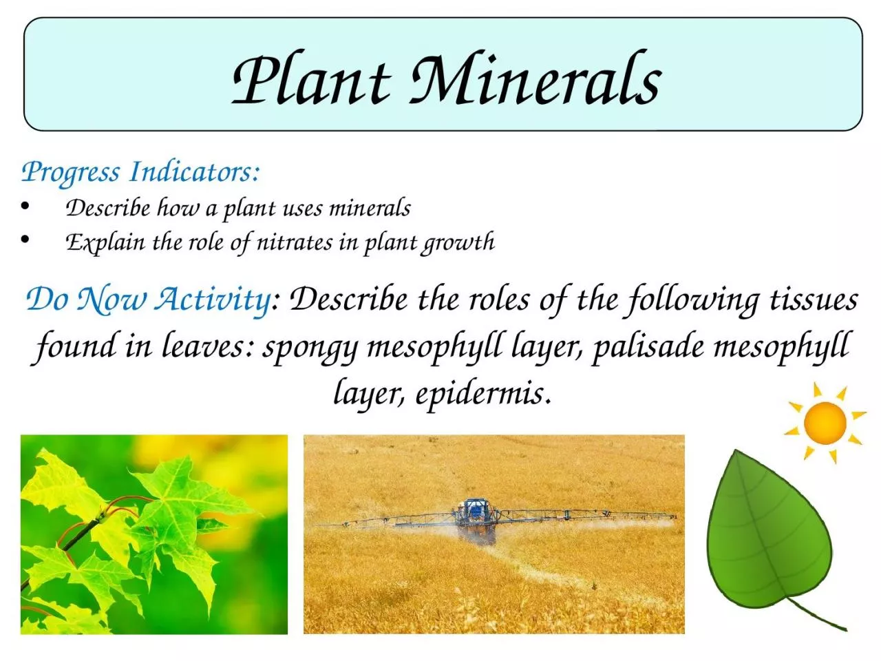 PPT-Plant Minerals Progress Indicators: