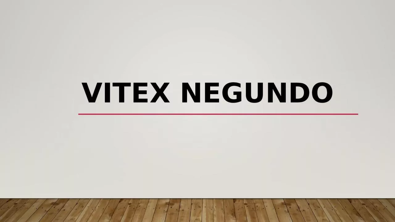 PPT-Vitex negundo Synonyms : V. bicolor, V. Incisa.