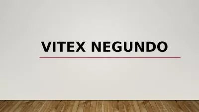 Vitex negundo Synonyms : V. bicolor, V. Incisa.