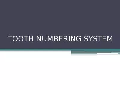 TOOTH NUMBERING SYSTEM Types of numbering system’s.