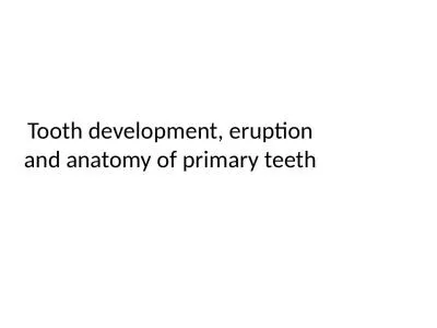 Tooth   development ,  eruption