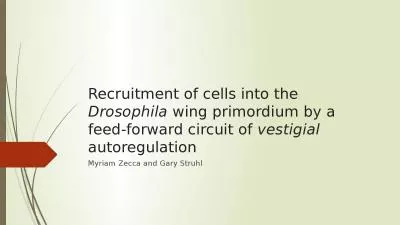 Recruitment of cells into the