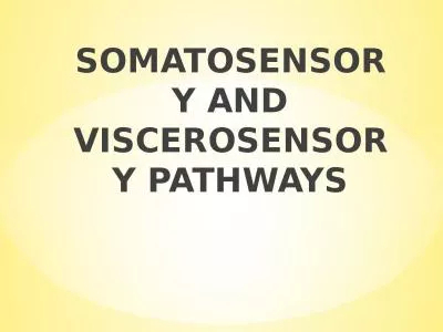 SOMATOSENSORY   AND VISCEROSENSORY