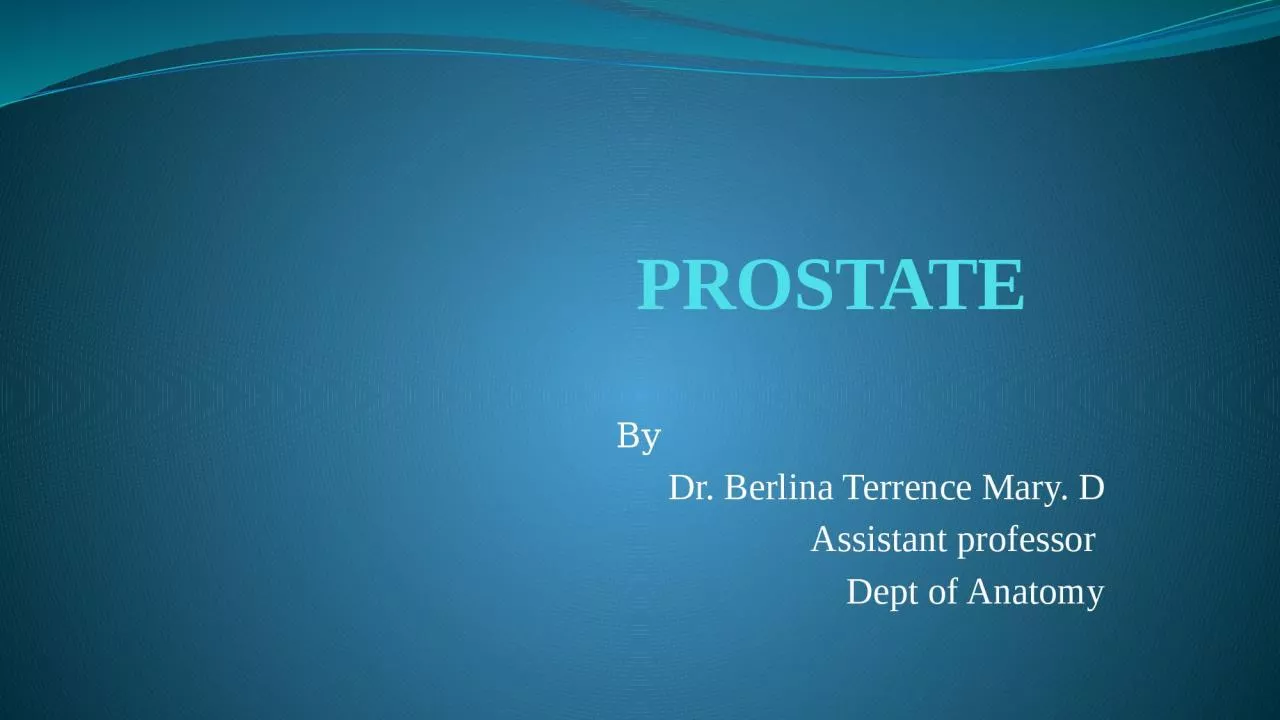 PROSTATE  By   Dr. Berlina Terrence Mary. D