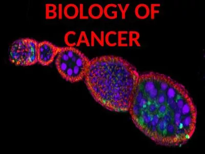 BIOLOGY OF CANCER Cancer