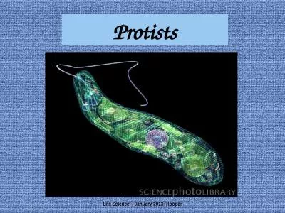 Protists Life Science – January 2013- Hooper