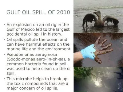 Gulf oil spill of 2010 An explosion on an oil rig in the Gulf of Mexico led to the largest