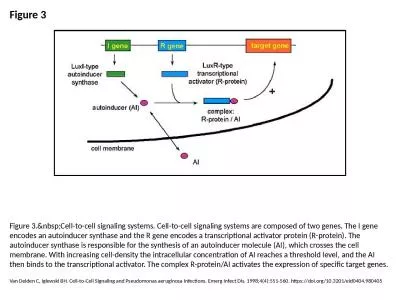 Figure 3 Figure 3.&nbsp;Cell-to-cell signaling systems. Cell-to-cell signaling systems