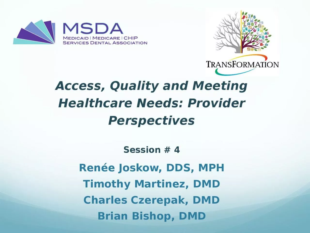 PPT-Access, Quality and Meeting Healthcare Needs: Provider Perspectives