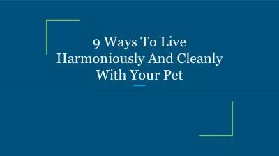 9 Ways To Live Harmoniously And Cleanly With Your Pet