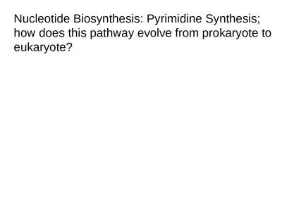 Nucleotide Biosynthesis: Pyrimidine Synthesis; how does this pathway evolve from prokaryote