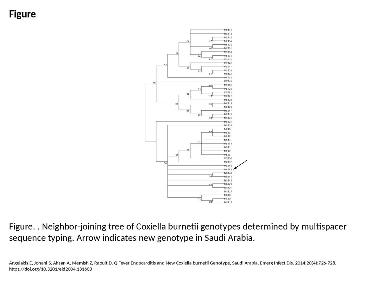 PPT-Figure Figure. . Neighbor-joining tree of Coxiella burnetii genotypes determined by multispacer