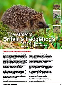 The state of Britain's hedgehogs 2011