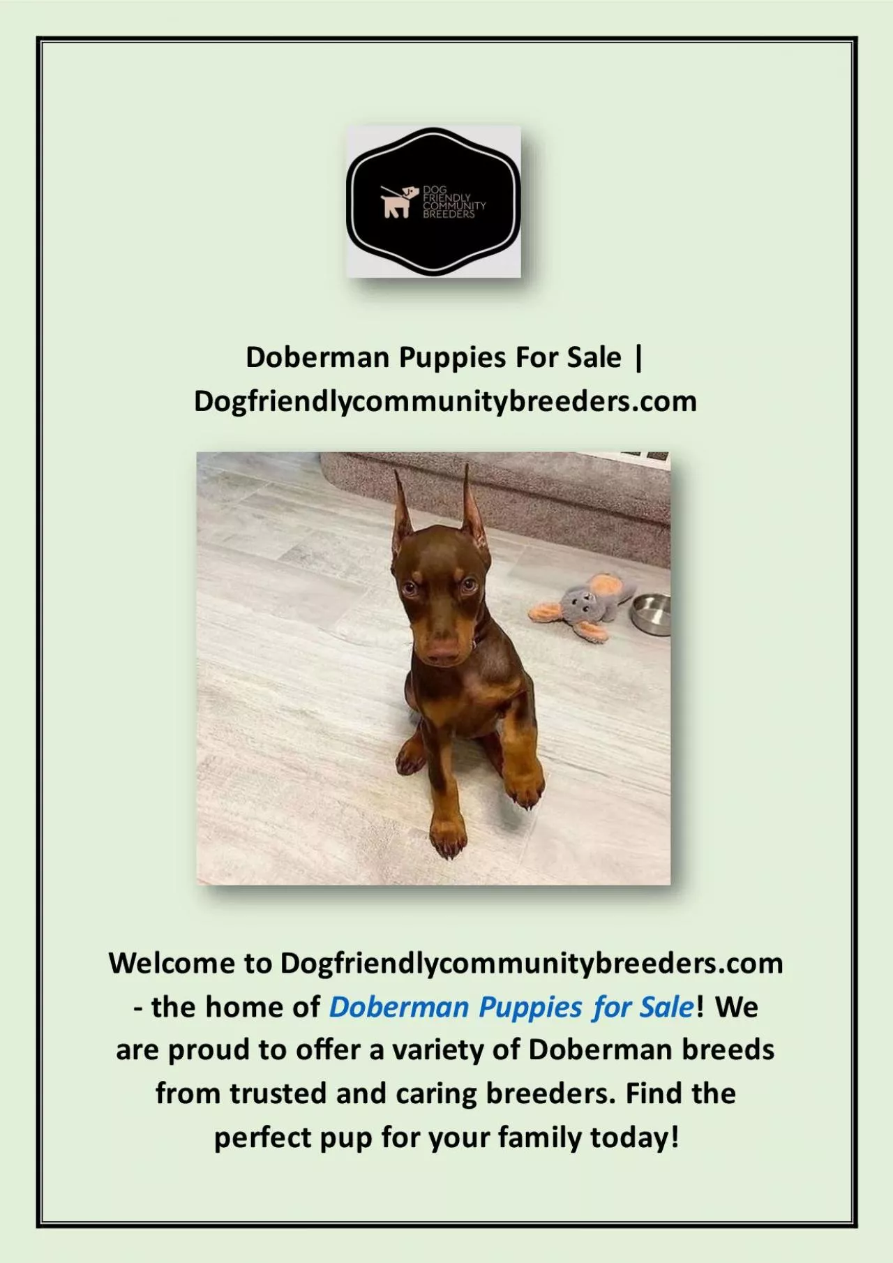 PDF-Doberman Puppies For Sale | Dogfriendlycommunitybreeders.com