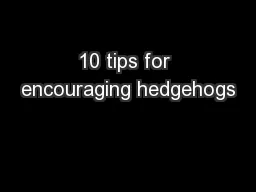 10 tips for encouraging hedgehogs