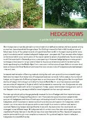 Most hedges were originally planted to enclose livestock or dene boun